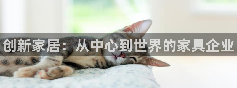 球盟会官方平台入口