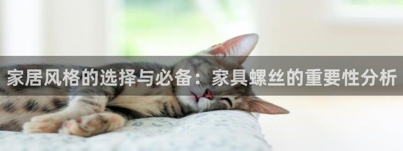 球盟会几点玩合适