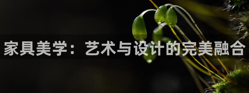 球盟会里面有打牌的嘛知乎