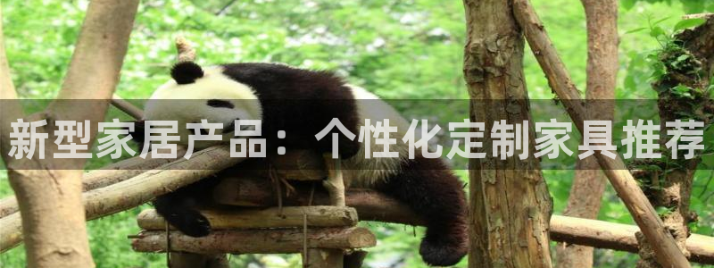 球盟会app最新地址在哪看