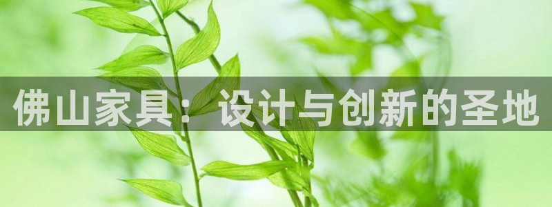 球盟会官方网址入口