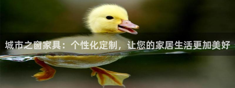 球盟会官方