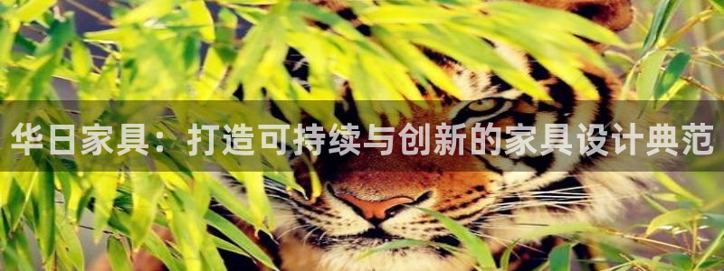 球盟会电子