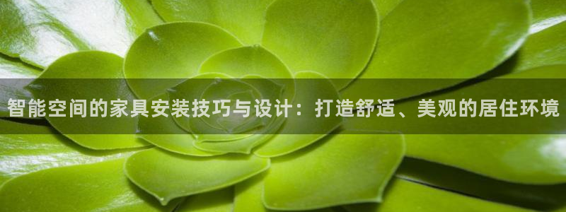 球盟会进不去球员吗