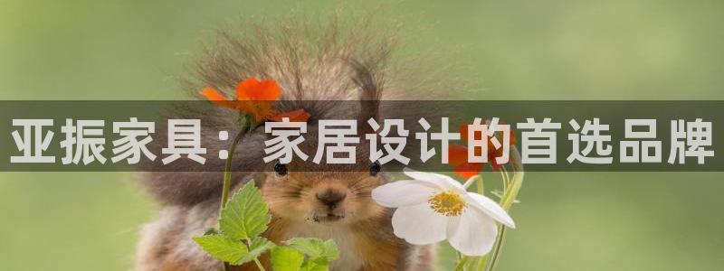 球盟会头号玩家是谁