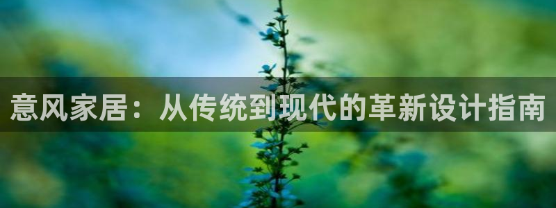 球盟会游戏