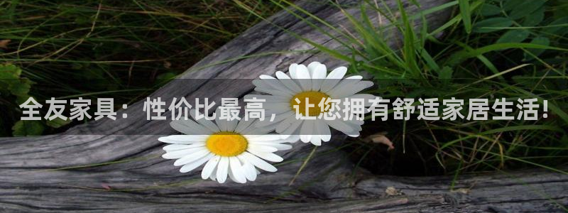 球盟会官方最新入口