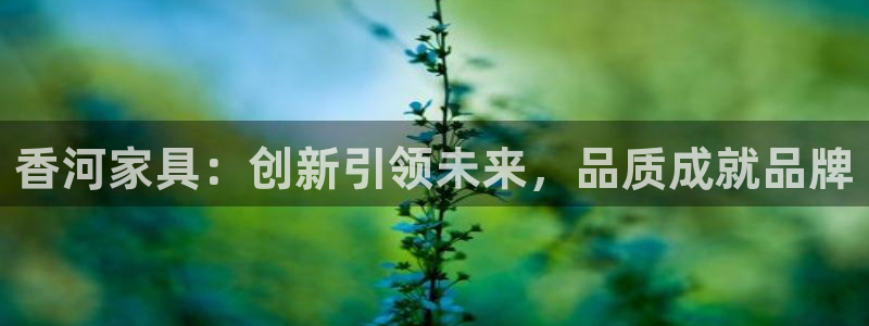 球盟会qmh官网