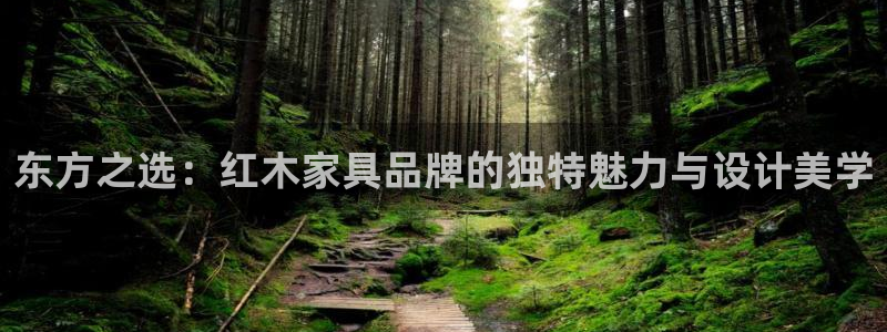 球盟会最新网