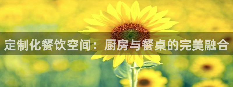 球盟会用的客服聊天是哪个软件