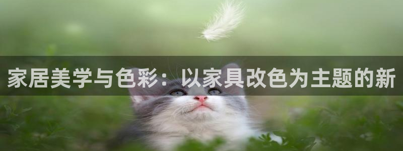 球盟会最新地址备用