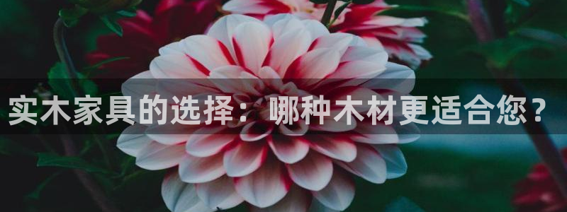 球盟会黑：实木家具的选择：哪种木材更适合您？