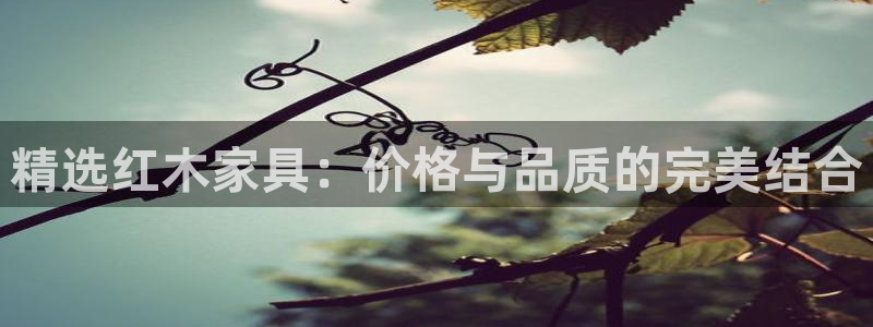 球盟会(中国)官方网站