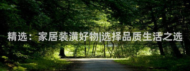 球盟会