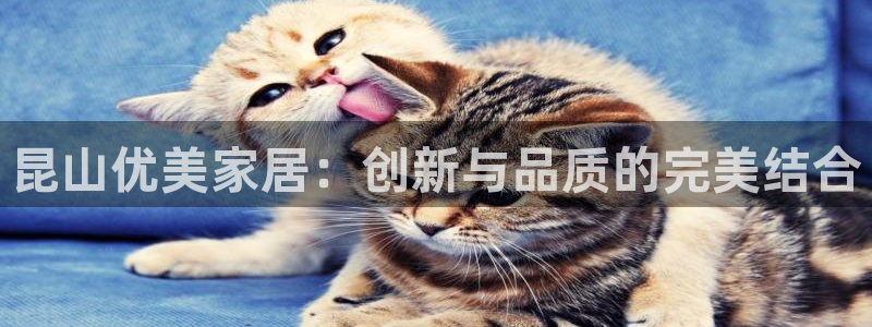 球盟会网址多少