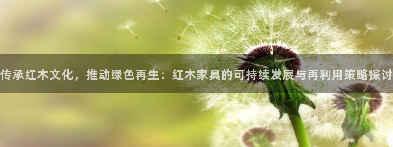 球盟会官网app下载