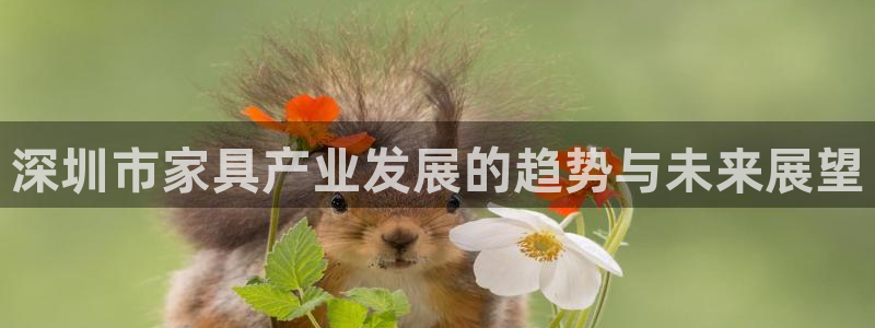 球盟会黑款吗还是白款