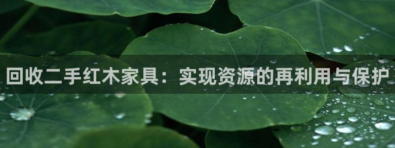 球盟会网页版登陆