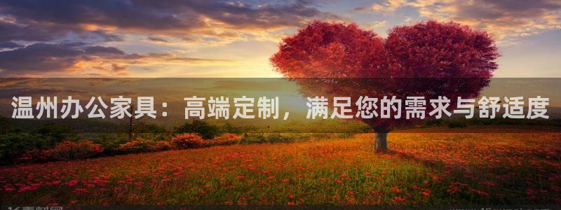 球盟会能退钱吗知乎：温州办公家具：高端定制，满足您的需求与舒
