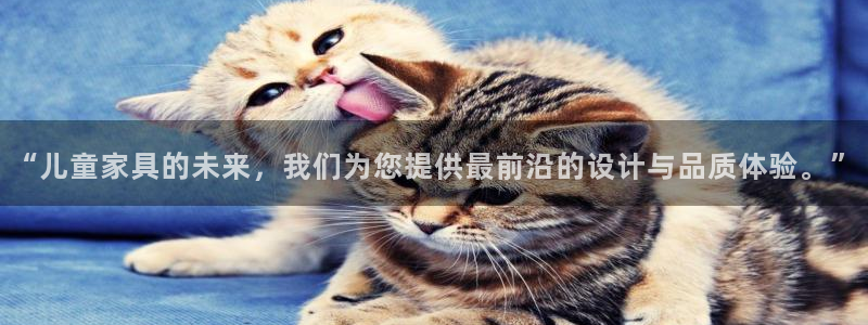 球盟会黑款吗还是白款