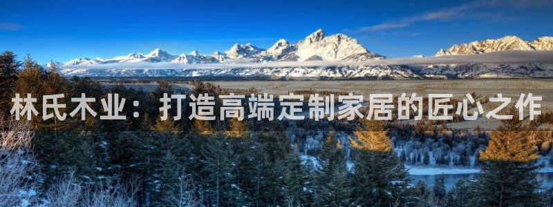 球盟会有没有黑单的球员