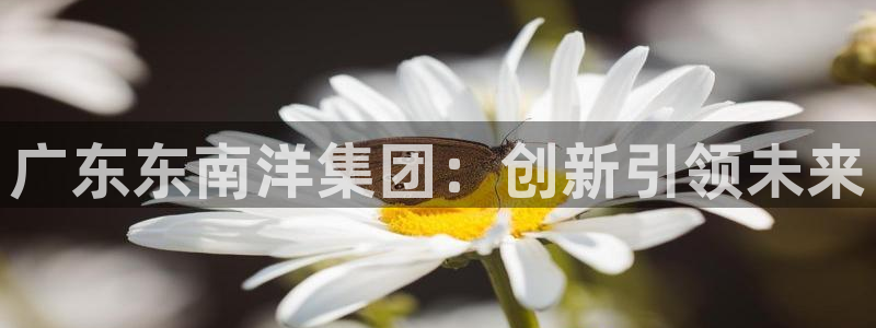球盟会qmh