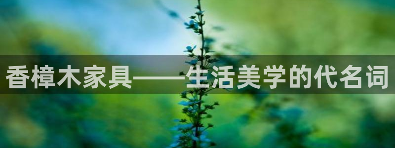 球盟会官方