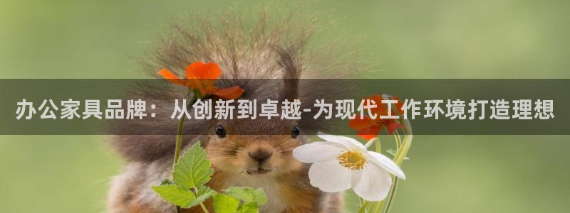 球盟会平台会黑单吗