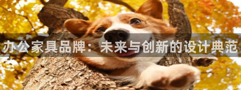 球盟会app最新地址在哪找