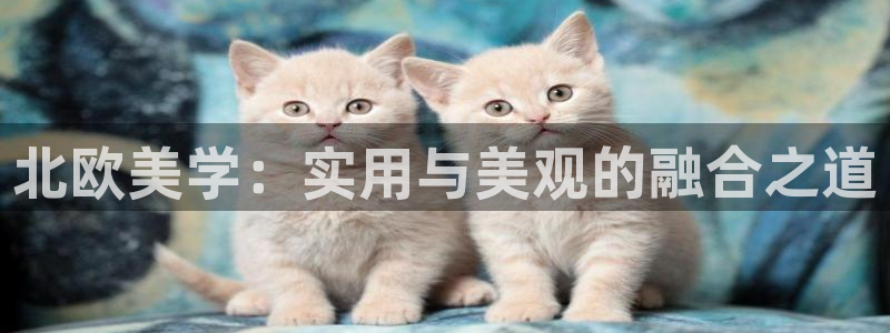 球盟会手机网页版