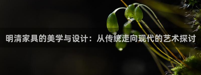 球盟会进不去吗：明清家具的美学与设计：从传统走向现代的艺术探