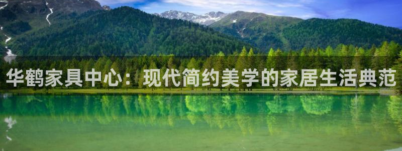 球盟会官方网站入口