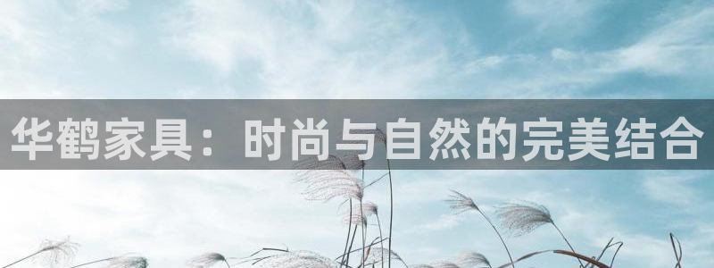 球盟会中国官方网站
