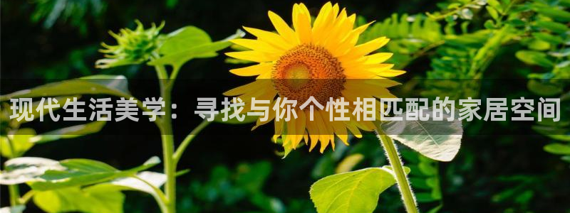 球盟会最新网