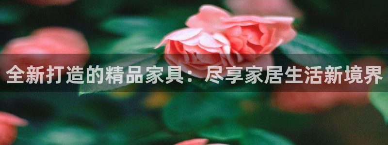 球盟会官网app下载