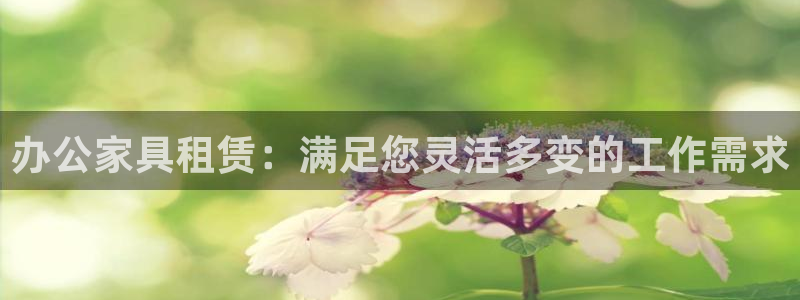 球盟会app最新地址在哪看