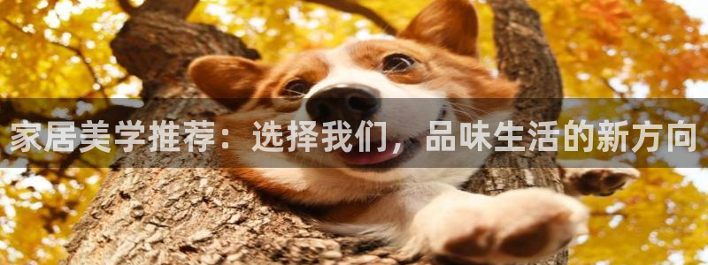 球盟会可靠不