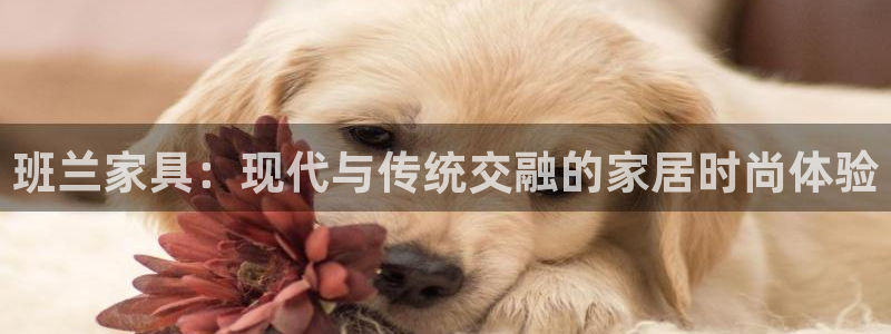 球盟会黑款吗知乎文章：班兰家具：现代与传统交融的家居时尚体验