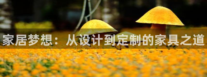 球盟会黑台子吗：家居梦想：从设计到定制的家具之道