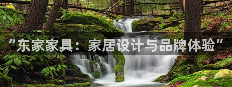 球盟会官方网址入口