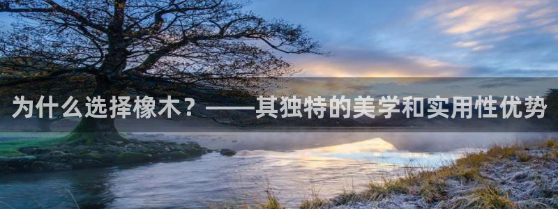 球盟会和中欧：为什么选择橡木？——其独特的美学和实用性优势