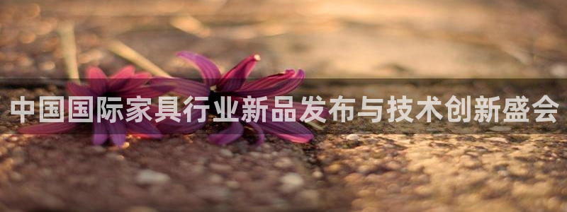 球盟会能提现吗安全吗