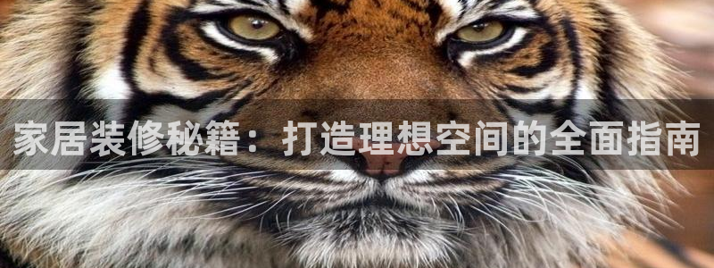 球盟会最新网