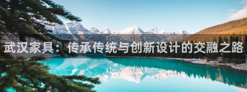 球盟会登录平台入口