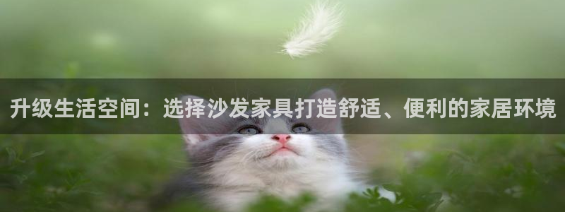 球盟会中国官方网站