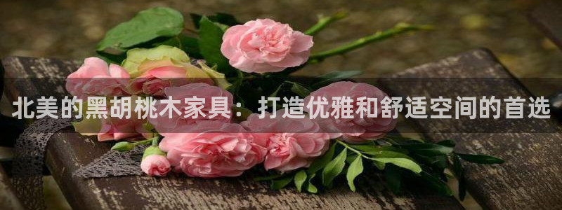 球盟会app手机登录