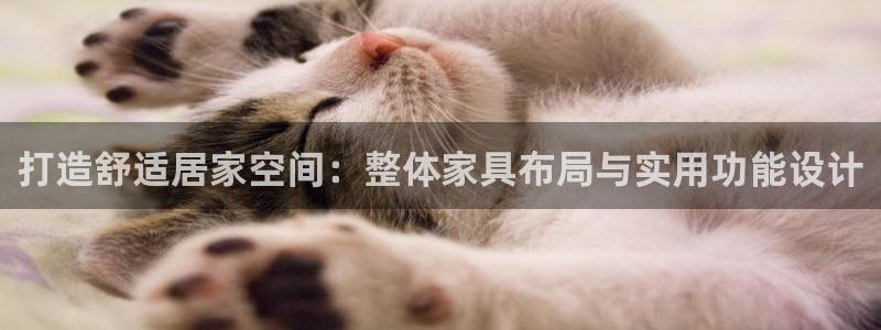 球盟会官网入口