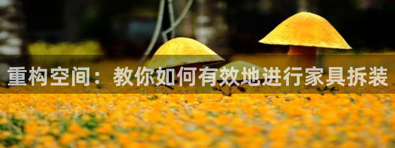 球盟会有限公司怎么样