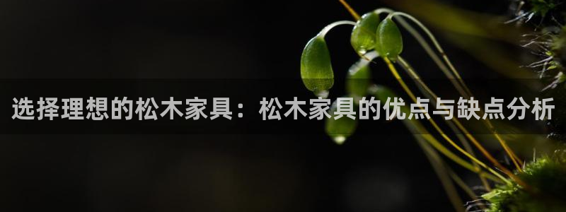 球盟会登陆