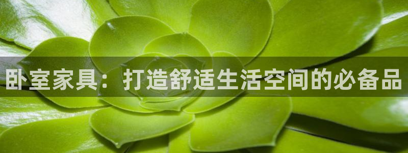 球盟会登陆